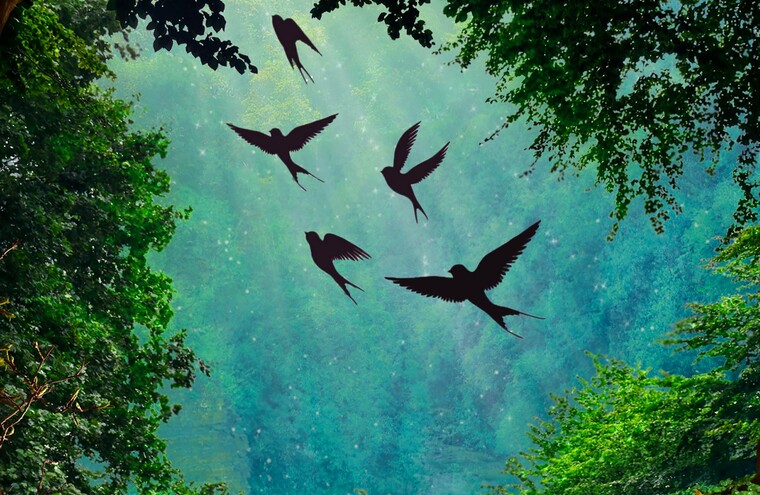 A group of birds fly over a pond in a forest