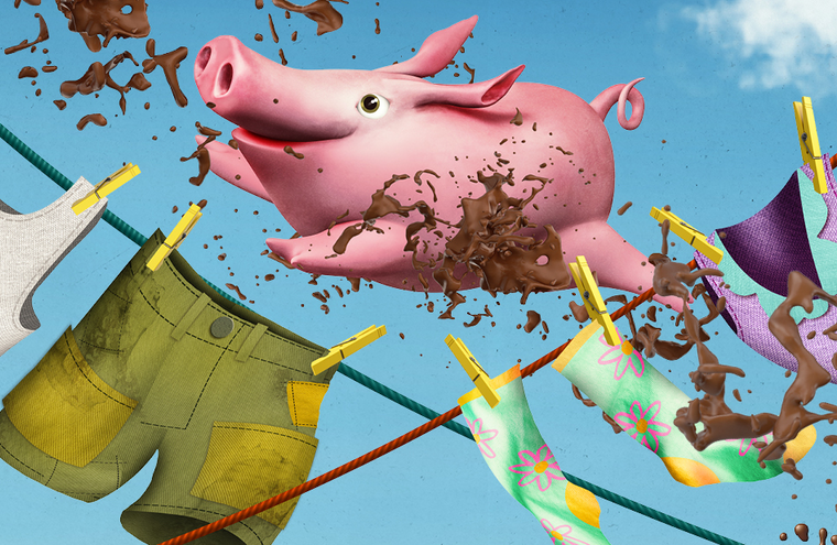 Cartoon of a pig flying in the air, over a washing line of clothes. Mud has been splashed into the air and over the washing.
